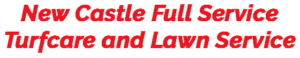 New Castle Lawn Care Services