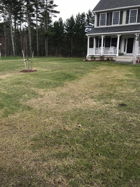 17 Days Before Spray Fertilization